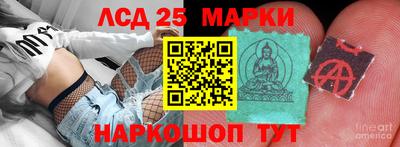молекула духа Кингисепп
