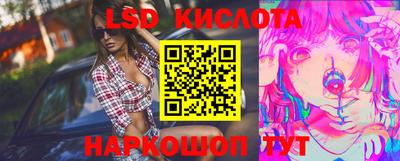 молекула духа Кингисепп
