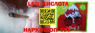 молекула духа Кингисепп