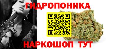 молекула духа Кингисепп