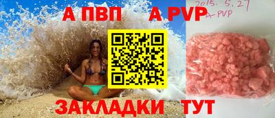 молекула духа Кингисепп