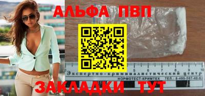 молекула духа Кингисепп